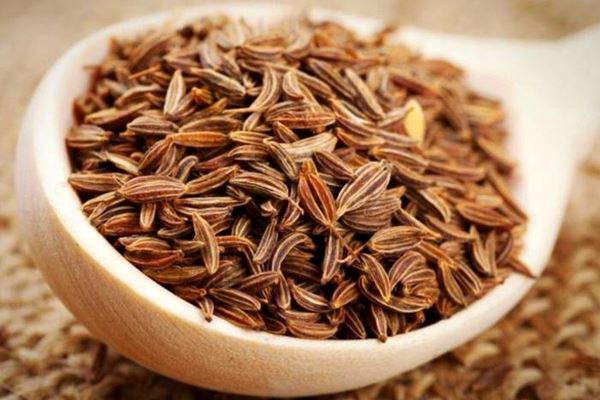 گیاه زنیان با قابلیت های شگفت انگیز